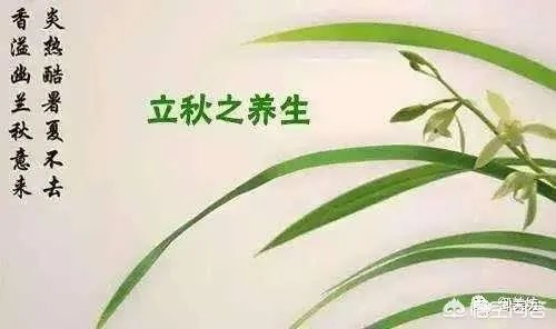 农村立秋当天忌讳