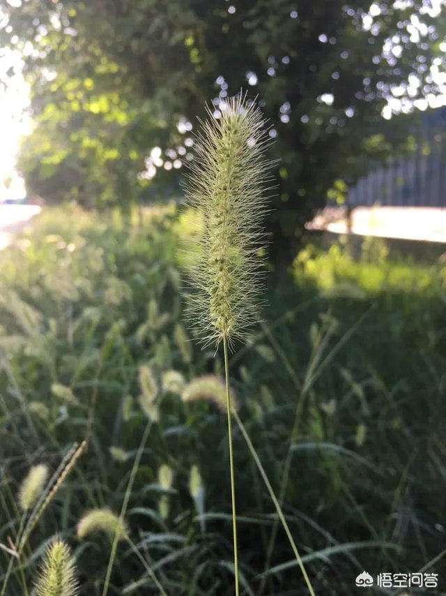 摄影大赛有必要参加吗?