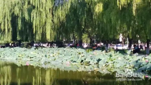 【校园指南】承德石油高等专科学校招生报道篇