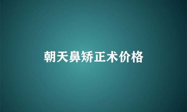 朝天鼻矫正术价格