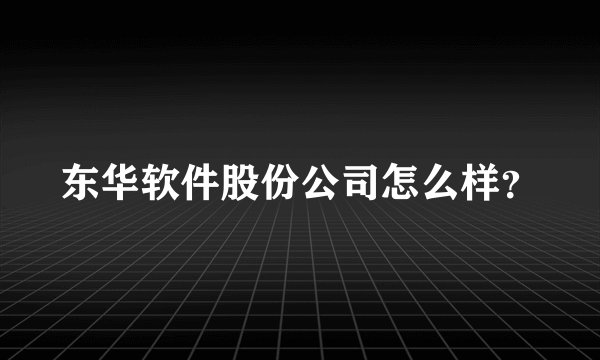 东华软件股份公司怎么样?