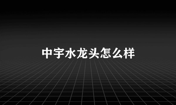 中宇水龙头怎么样