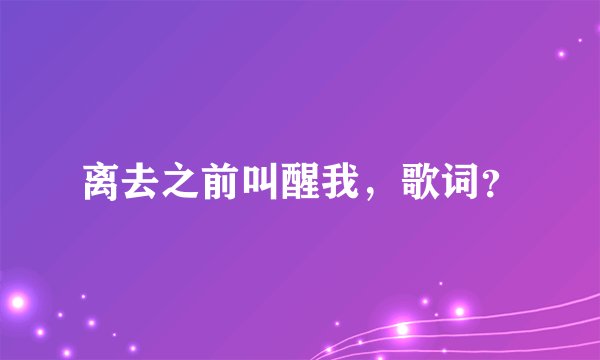 离去之前叫醒我，歌词？
