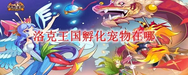 洛克王国孵化宠物在哪