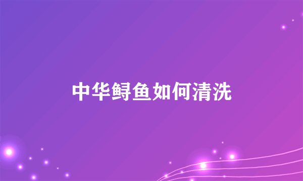 中华鲟鱼如何清洗