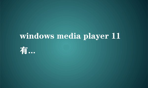 windows media player 11 有“官方简体中文正式版”吗?