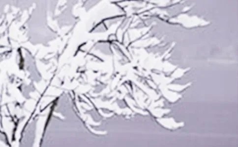 小雪节气诗句