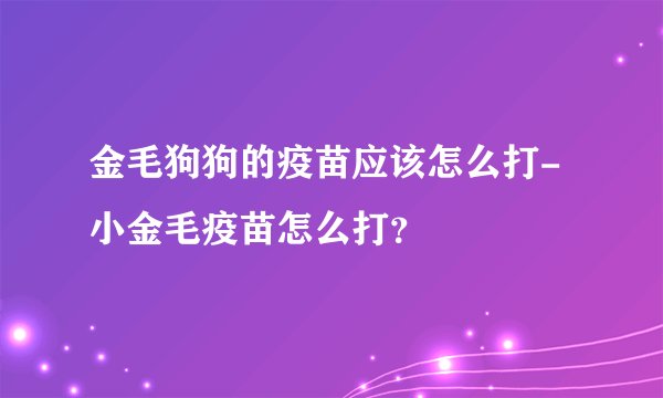 金毛狗狗的疫苗应该怎么打-小金毛疫苗怎么打？