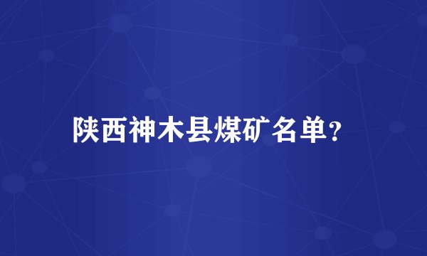 陕西神木县煤矿名单？