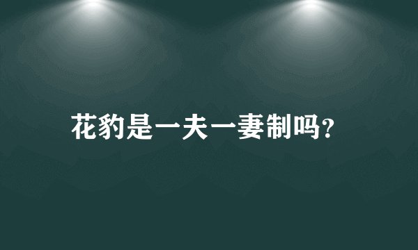 花豹是一夫一妻制吗?