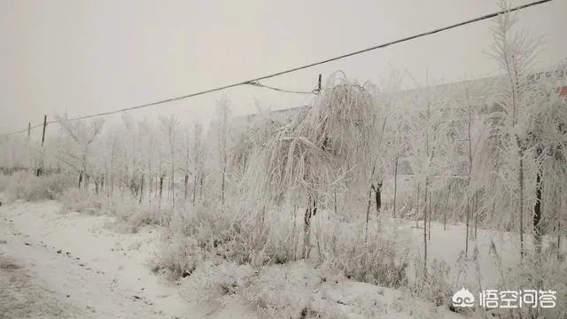 奎屯在新疆经济