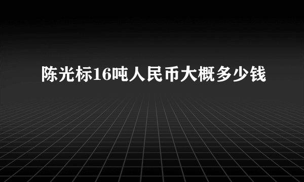陈光标16吨人民币大概多少钱