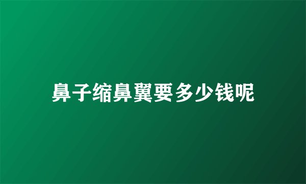 鼻子缩鼻翼要多少钱呢