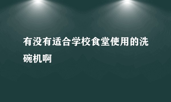 有没有适合学校食堂使用的洗碗机啊