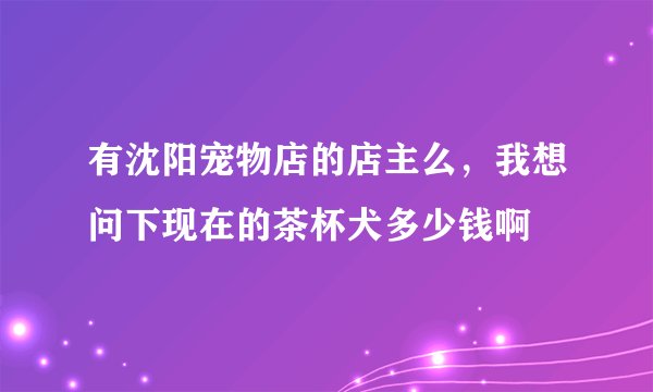 有沈阳宠物店的店主么，我想问下现在的茶杯犬多少钱啊