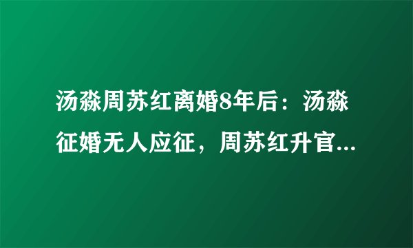 汤淼周苏红离婚8年后:汤淼征婚无人应征,周苏红升官至副厅级