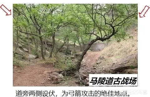 梦三国爱拍滔滔