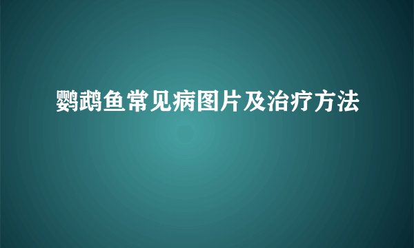鹦鹉鱼常见病图片及治疗方法