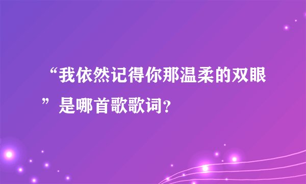 “我依然记得你那温柔的双眼”是哪首歌歌词？