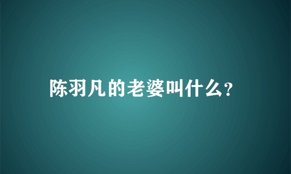 陈羽凡的老婆叫什么？