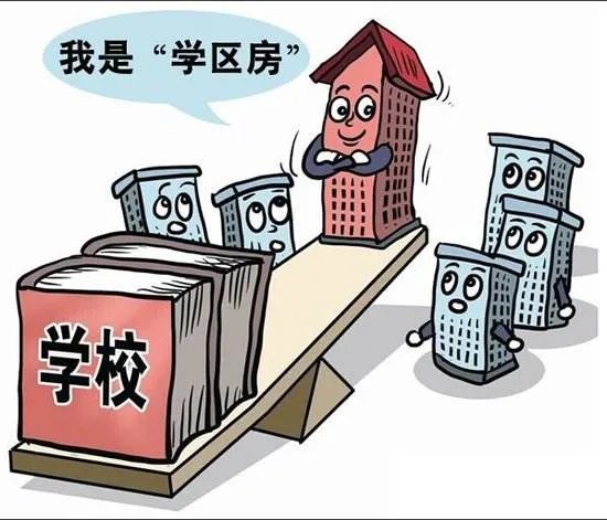 合肥学区划分是什么