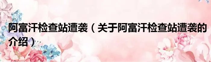 阿富汗检查站遭袭（关于阿富汗检查站遭袭的介绍）