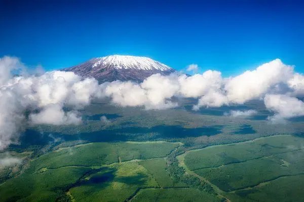 “非洲之巅”乞力马扎罗山发生火灾！目前当地状况如何了？