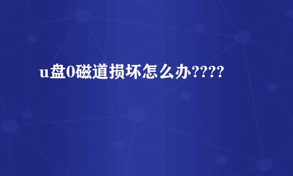 u盘0磁道损坏怎么办????