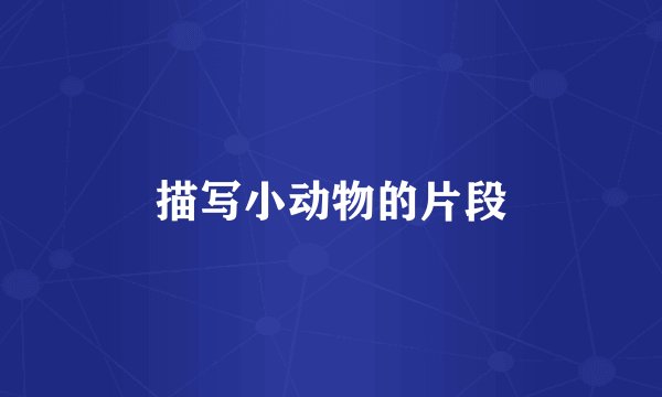 描写小动物的片段