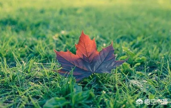 农村立秋当天忌讳
