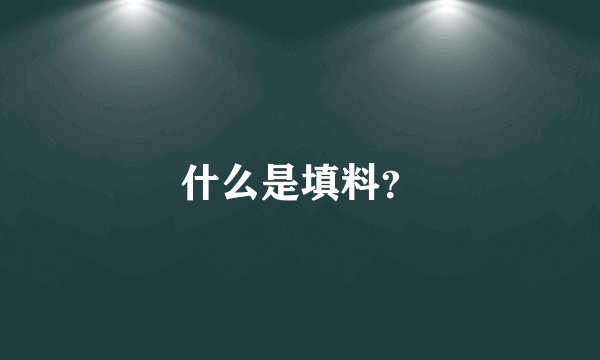 什么是填料？