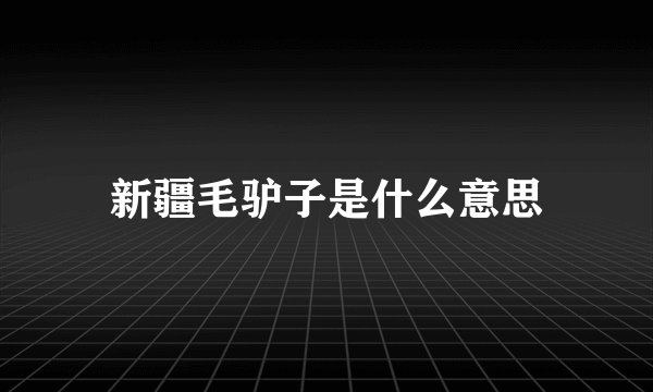 新疆毛驴子是什么意思