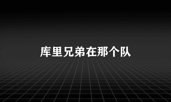 库里兄弟在那个队