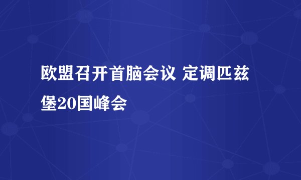 欧盟召开首脑会议 定调匹兹堡20国峰会