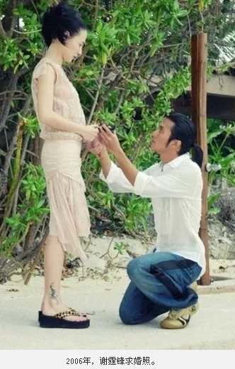 张柏芝与谢霆锋什么时候离婚的?