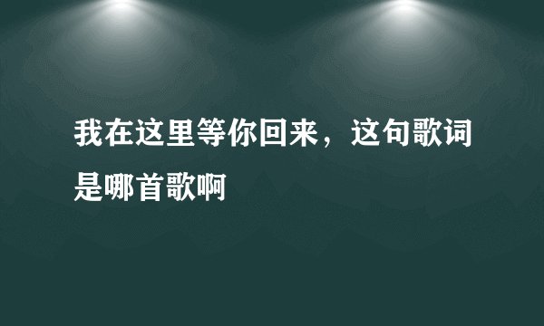 我在这里等你回来，这句歌词是哪首歌啊