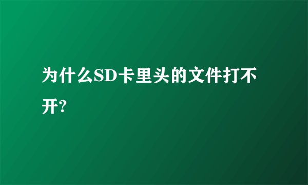 为什么SD卡里头的文件打不开?