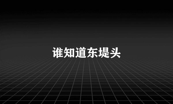 谁知道东堤头