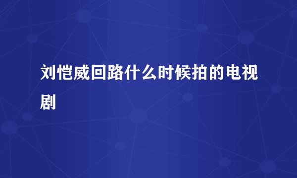 刘恺威回路什么时候拍的电视剧