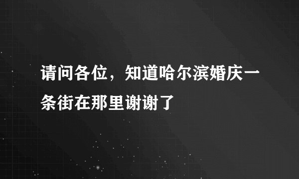 请问各位，知道哈尔滨婚庆一条街在那里谢谢了