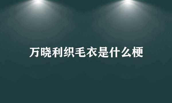 万晓利织毛衣是什么梗