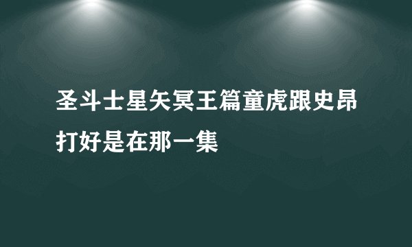 圣斗士星矢冥王篇童虎跟史昂打好是在那一集
