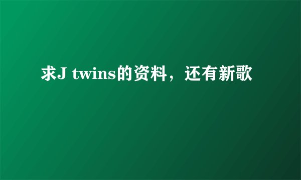 求J twins的资料，还有新歌