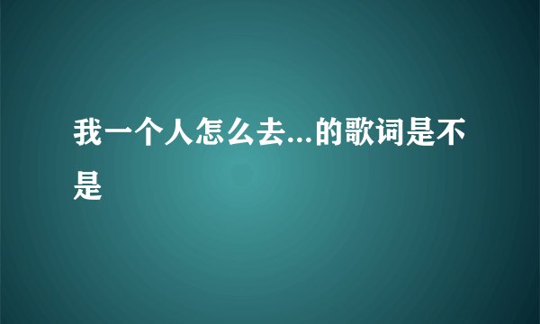 我一个人怎么去...的歌词是不是