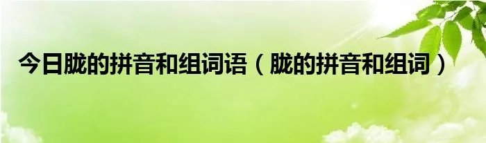 今日胧的拼音和组词语（胧的拼音和组词）