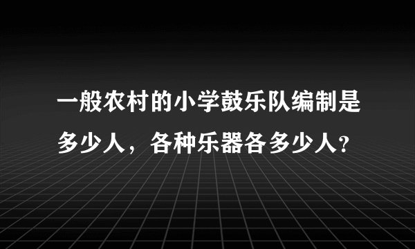 一般农村的小学鼓乐队编制是多少人，各种乐器各多少人？