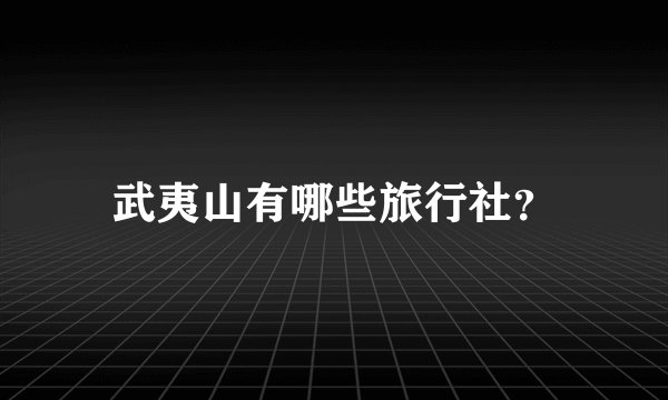 武夷山有哪些旅行社？