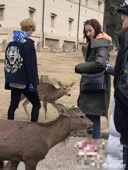 如何评价鹿晗关晓彤同游日本?