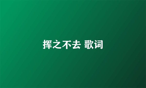 挥之不去 歌词