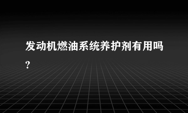 发动机燃油系统养护剂有用吗?